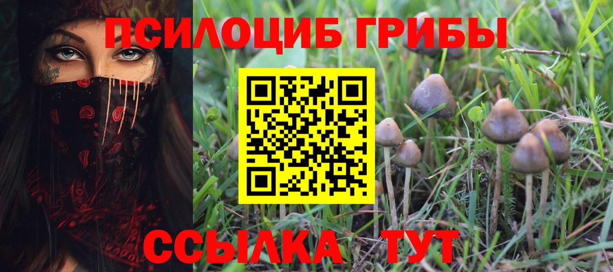 Псилоцибиновые грибы Psilocybine cubensis Партизанск